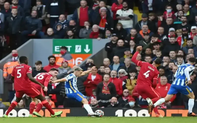 تغطية حصرية.. القنوات الناقلة لمباراة ليفربول وبرايتون في كأس إنجلترا